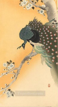  Koson Pintura al %C3%B3leo - pavo real Ohara Koson japonés